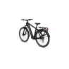 Tenways AGO X | Krachtige All-Terrain E-Bike | VN Tweewielers